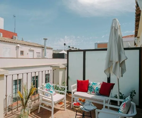O&L Lumbreras: Bright Duplex With Private Terrace